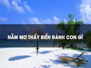 Mơ Thấy Biển Đánh Con Gì